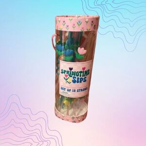 ECCOLO “Springtime Sips” Reusable Straw Set 18 Pieces